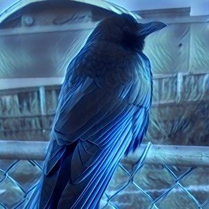 Meet your Posher, Jc